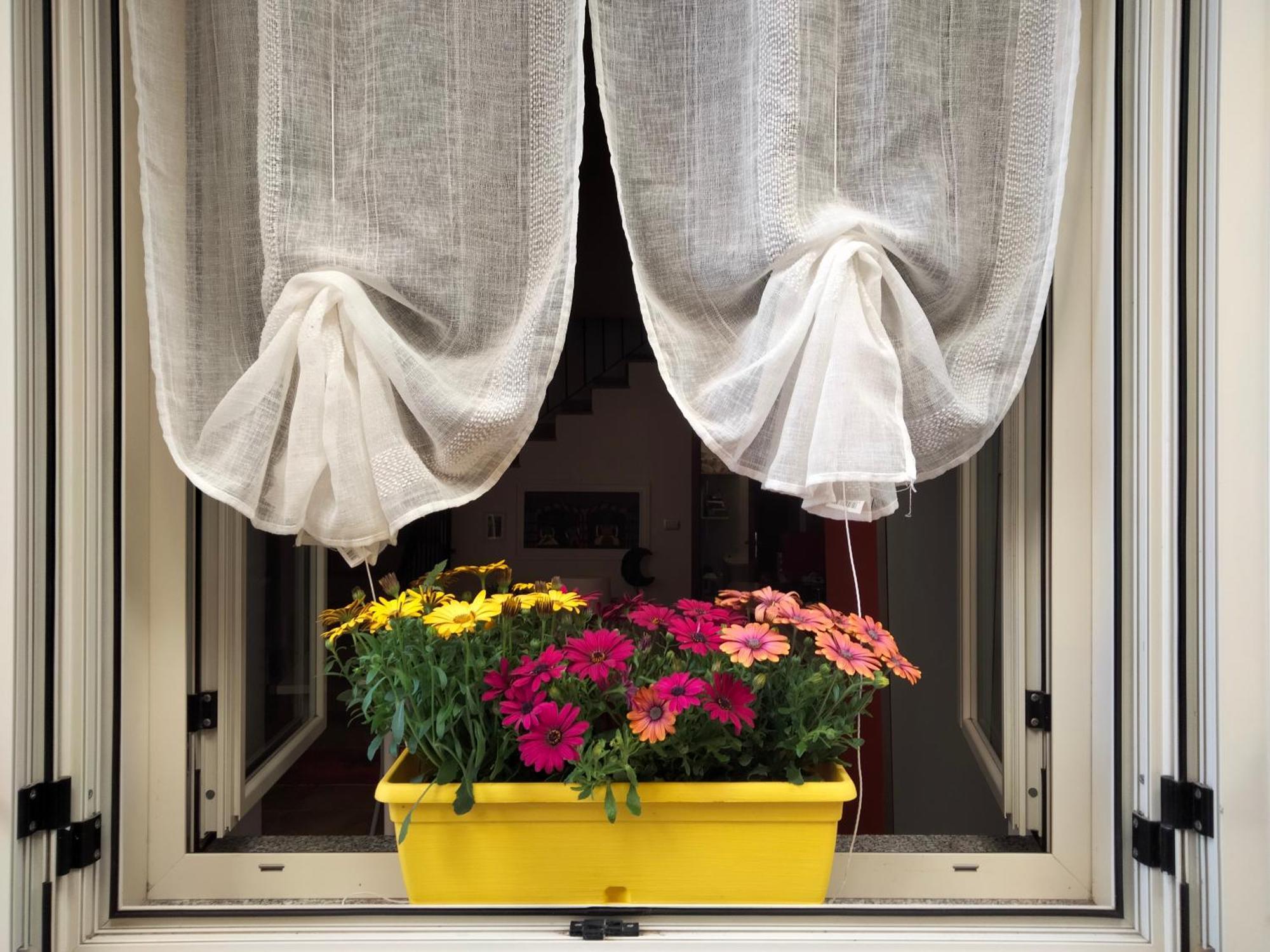 Al Quindici Scilla Bed and Breakfast Buitenkant foto